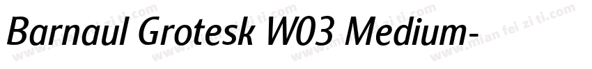 Barnaul Grotesk W03 Medium字体转换